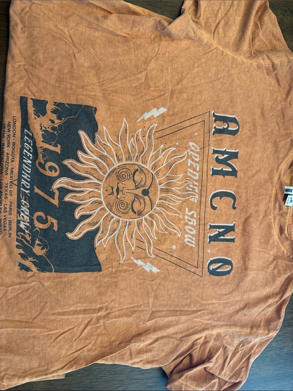 Vintage-Inspired Sun Graphic Crop Top - Rust Orange